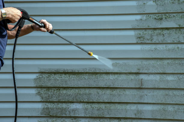 Best Dumpster Area Cleaning  in Signal Hill, CA